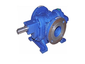 Helical Gear pump